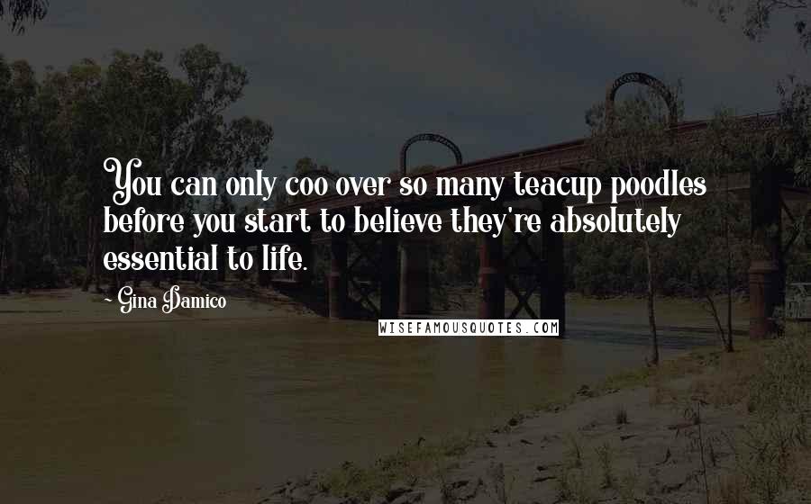 Gina Damico Quotes: You can only coo over so many teacup poodles before you start to believe they're absolutely essential to life.