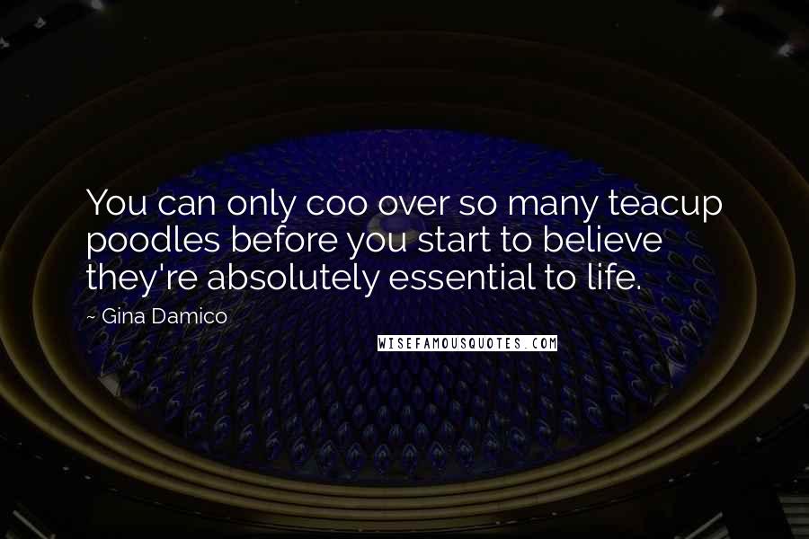 Gina Damico Quotes: You can only coo over so many teacup poodles before you start to believe they're absolutely essential to life.