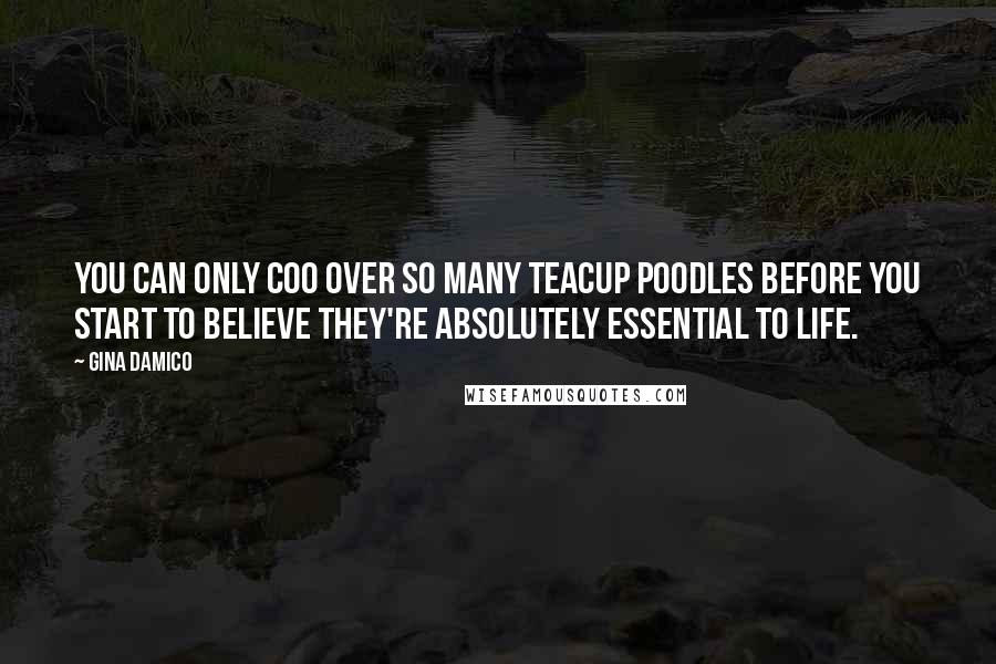 Gina Damico Quotes: You can only coo over so many teacup poodles before you start to believe they're absolutely essential to life.