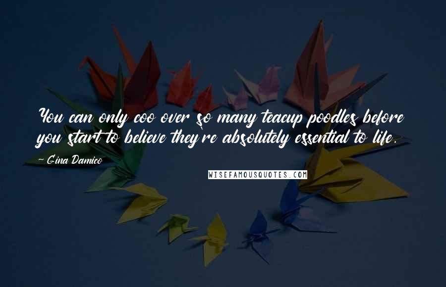 Gina Damico Quotes: You can only coo over so many teacup poodles before you start to believe they're absolutely essential to life.