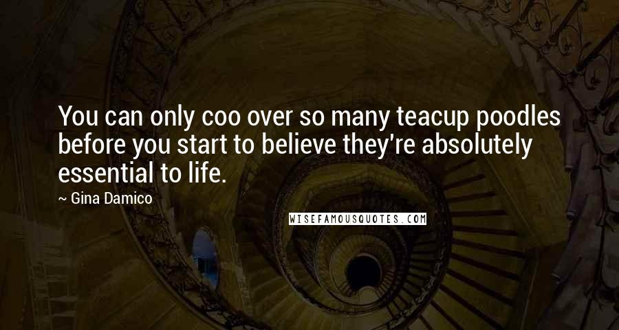 Gina Damico Quotes: You can only coo over so many teacup poodles before you start to believe they're absolutely essential to life.