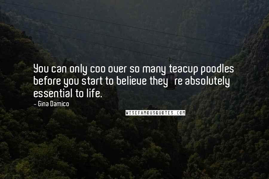 Gina Damico Quotes: You can only coo over so many teacup poodles before you start to believe they're absolutely essential to life.