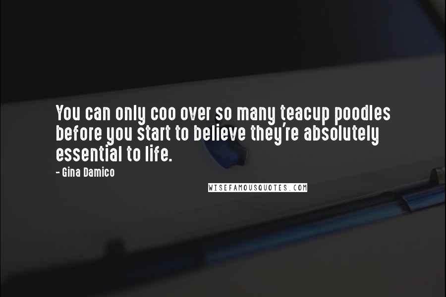 Gina Damico Quotes: You can only coo over so many teacup poodles before you start to believe they're absolutely essential to life.