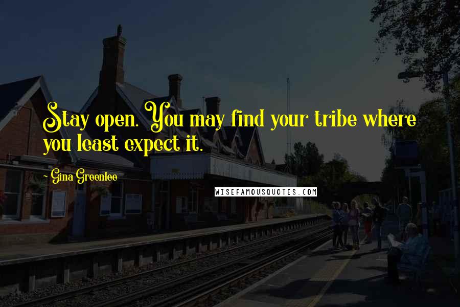 Gina Greenlee Quotes: Stay open. You may find your tribe where you least expect it.