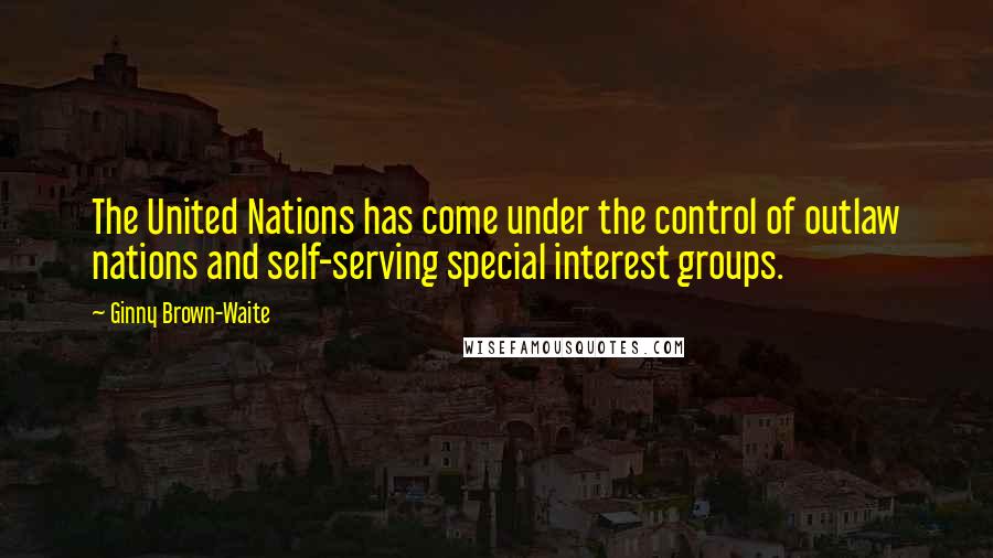 Ginny Brown-Waite Quotes: The United Nations has come under the control of outlaw nations and self-serving special interest groups.