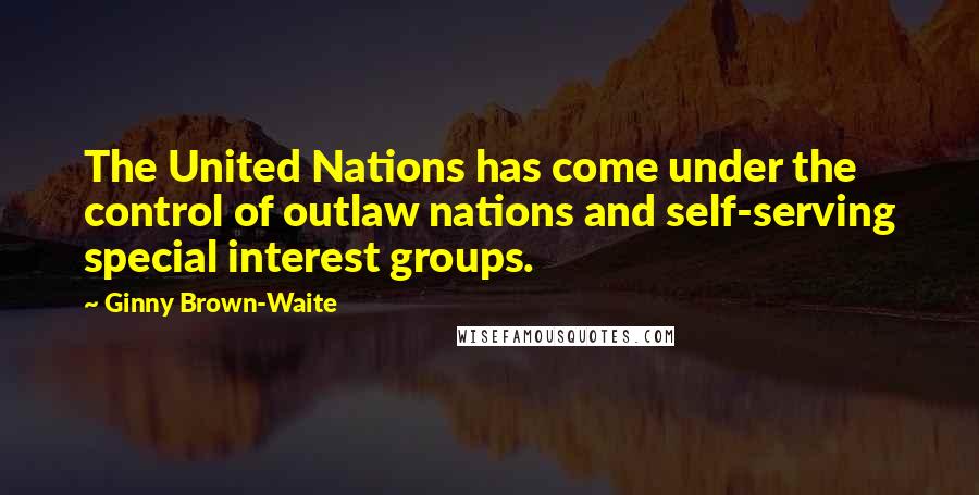 Ginny Brown-Waite Quotes: The United Nations has come under the control of outlaw nations and self-serving special interest groups.