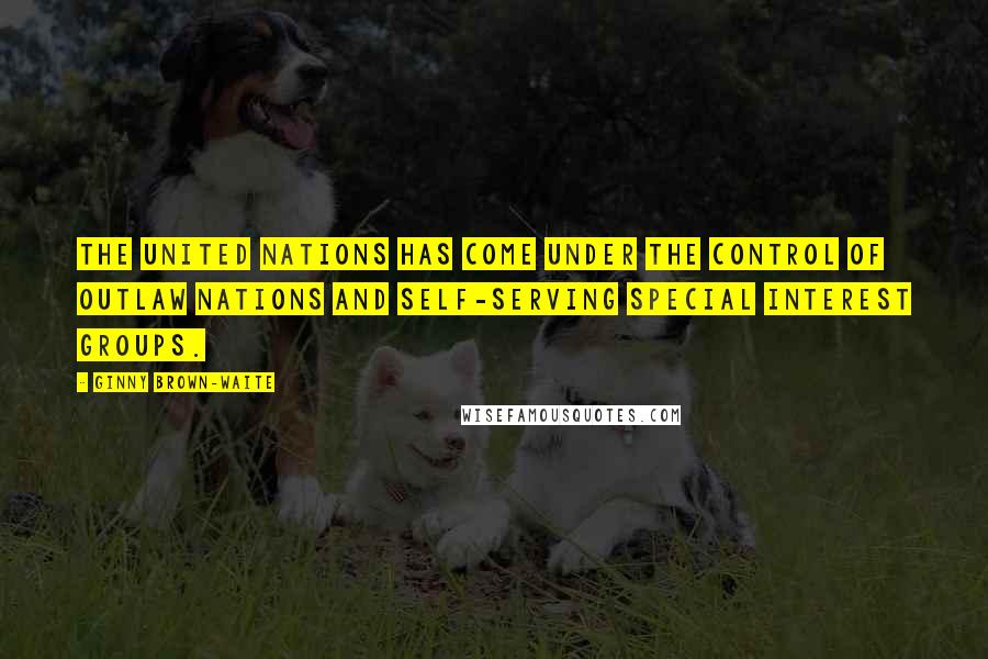 Ginny Brown-Waite Quotes: The United Nations has come under the control of outlaw nations and self-serving special interest groups.