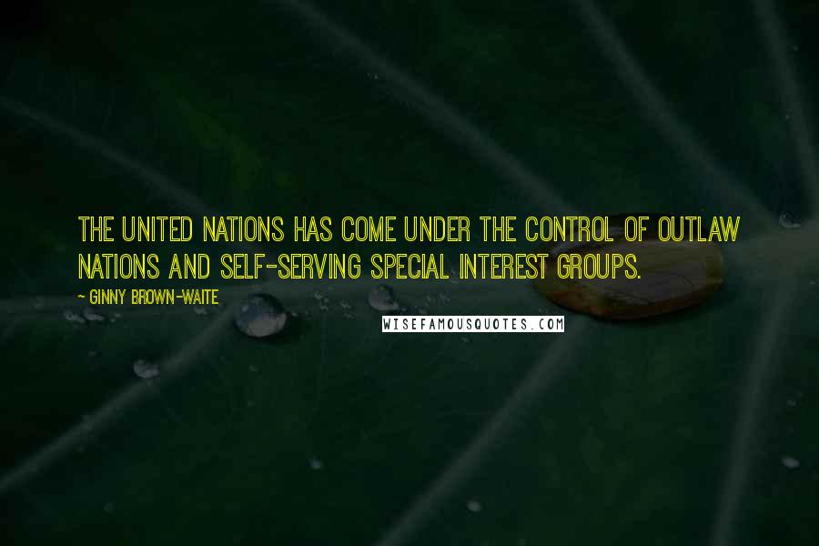 Ginny Brown-Waite Quotes: The United Nations has come under the control of outlaw nations and self-serving special interest groups.