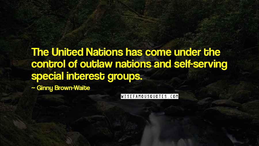 Ginny Brown-Waite Quotes: The United Nations has come under the control of outlaw nations and self-serving special interest groups.