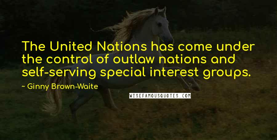 Ginny Brown-Waite Quotes: The United Nations has come under the control of outlaw nations and self-serving special interest groups.