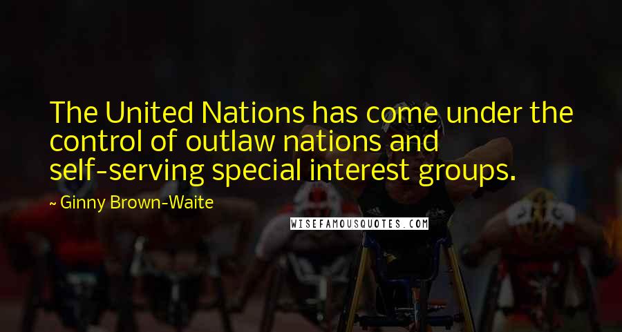 Ginny Brown-Waite Quotes: The United Nations has come under the control of outlaw nations and self-serving special interest groups.