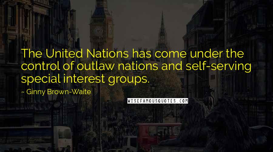 Ginny Brown-Waite Quotes: The United Nations has come under the control of outlaw nations and self-serving special interest groups.
