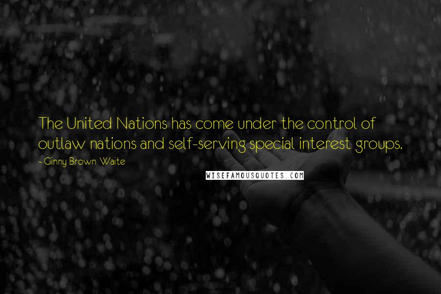 Ginny Brown-Waite Quotes: The United Nations has come under the control of outlaw nations and self-serving special interest groups.