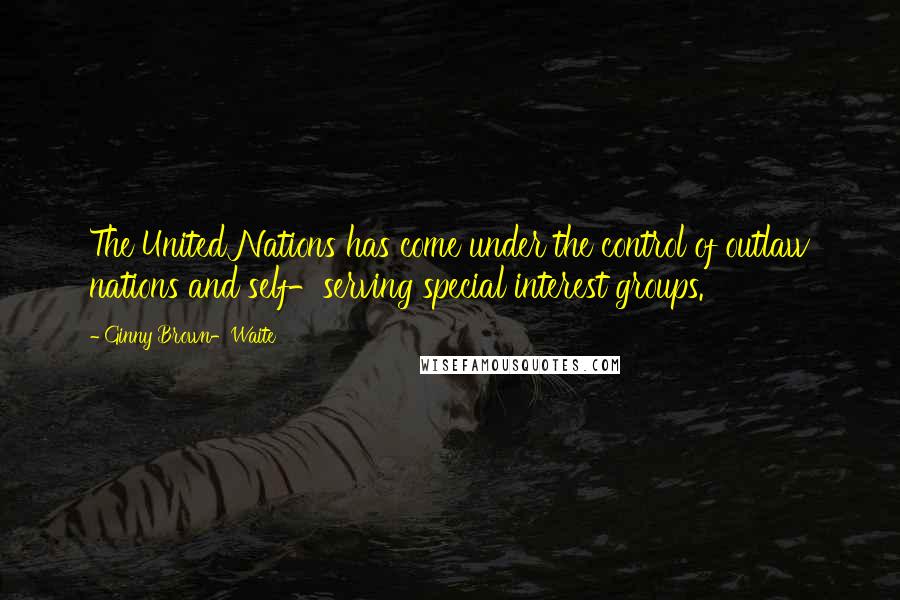 Ginny Brown-Waite Quotes: The United Nations has come under the control of outlaw nations and self-serving special interest groups.