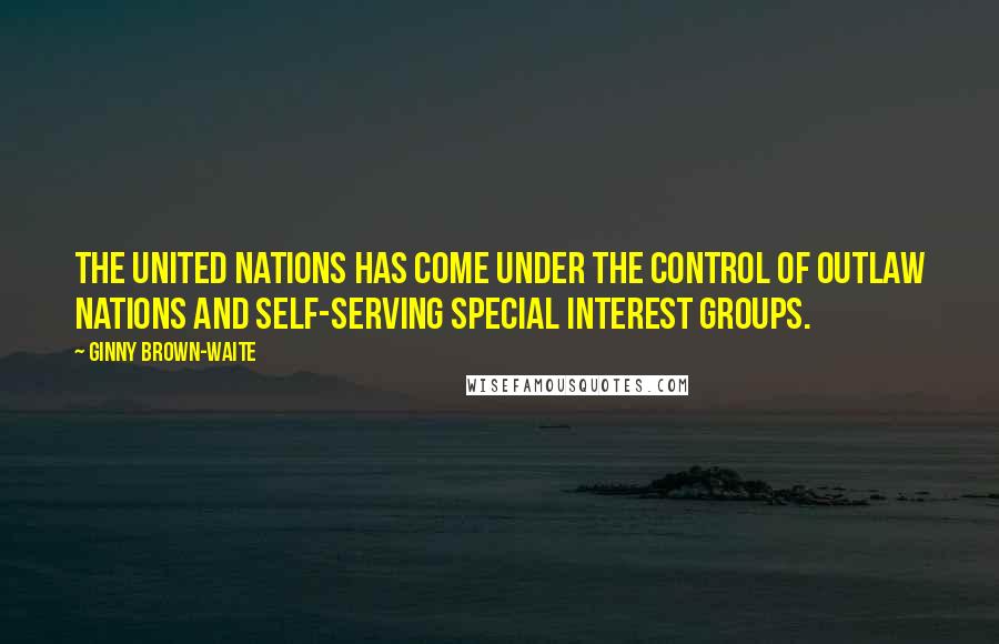 Ginny Brown-Waite Quotes: The United Nations has come under the control of outlaw nations and self-serving special interest groups.