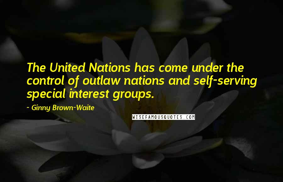 Ginny Brown-Waite Quotes: The United Nations has come under the control of outlaw nations and self-serving special interest groups.