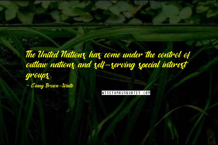 Ginny Brown-Waite Quotes: The United Nations has come under the control of outlaw nations and self-serving special interest groups.