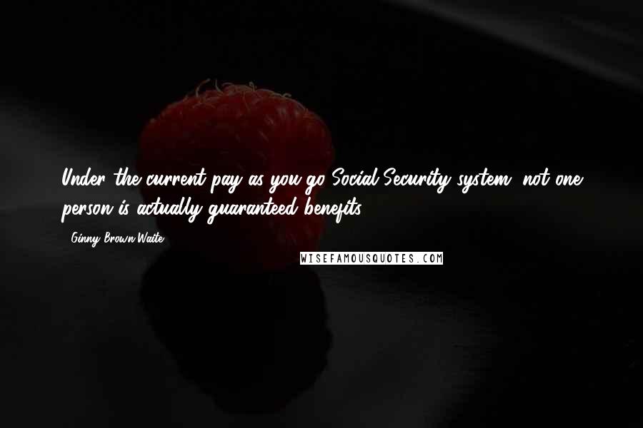 Ginny Brown-Waite Quotes: Under the current pay-as-you-go Social Security system, not one person is actually guaranteed benefits.