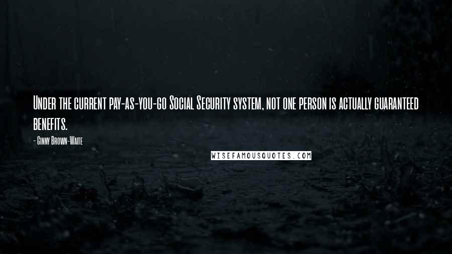 Ginny Brown-Waite Quotes: Under the current pay-as-you-go Social Security system, not one person is actually guaranteed benefits.