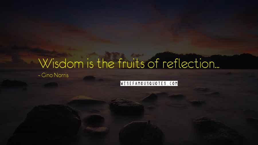 Gino Norris Quotes: Wisdom is the fruits of reflection...