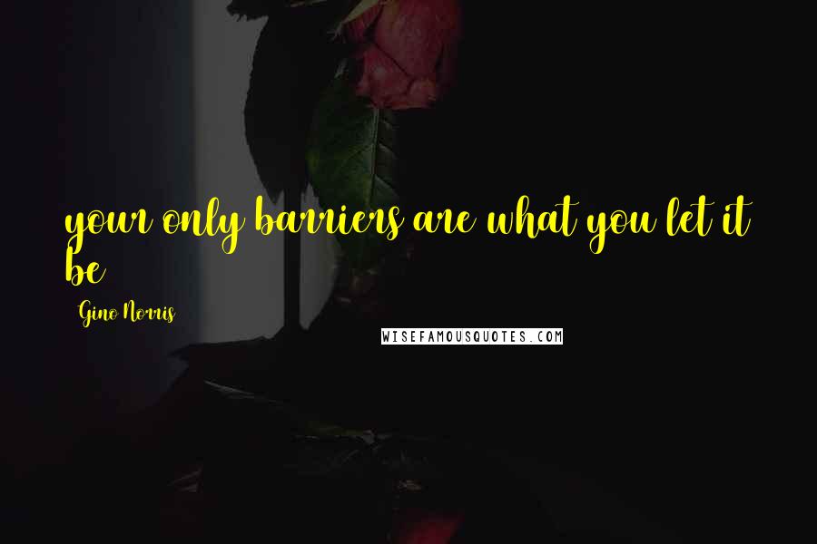 Gino Norris Quotes: your only barriers are what you let it be