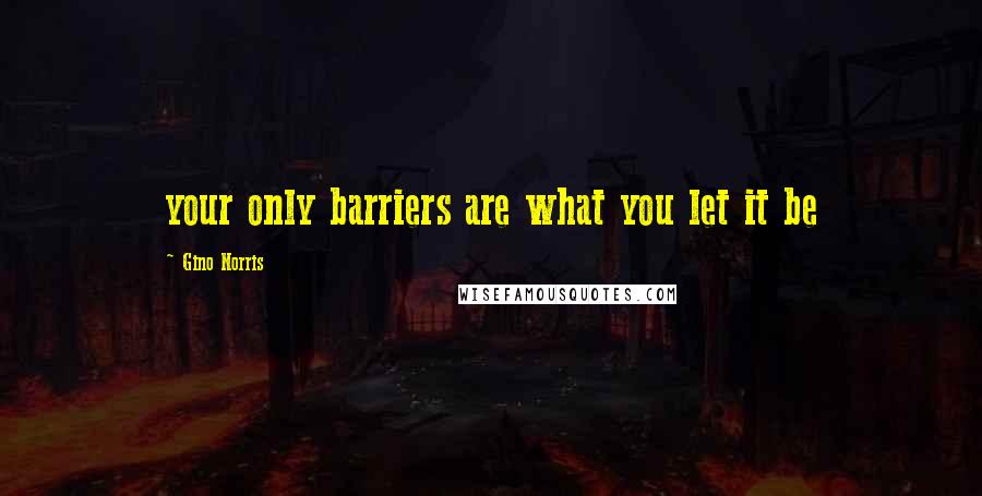 Gino Norris Quotes: your only barriers are what you let it be