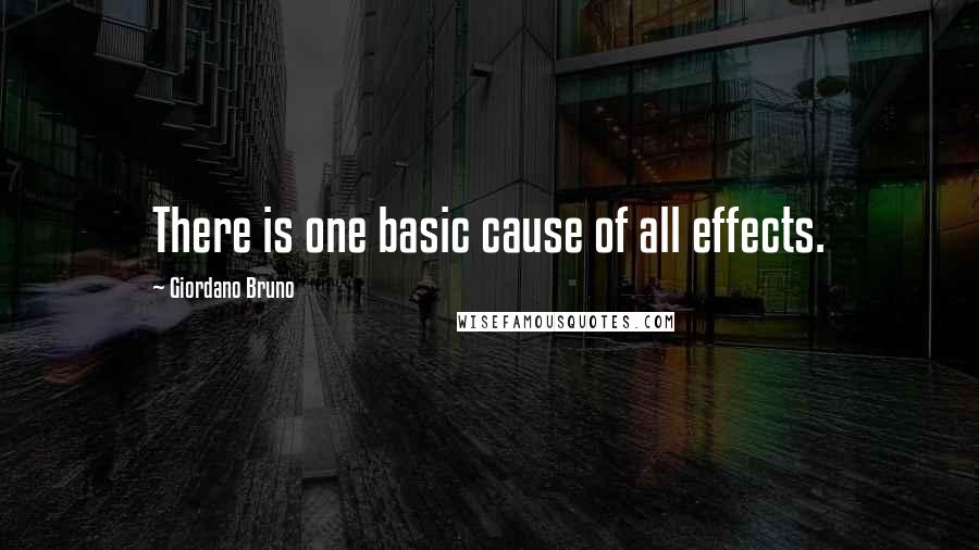 Giordano Bruno Quotes: There is one basic cause of all effects.