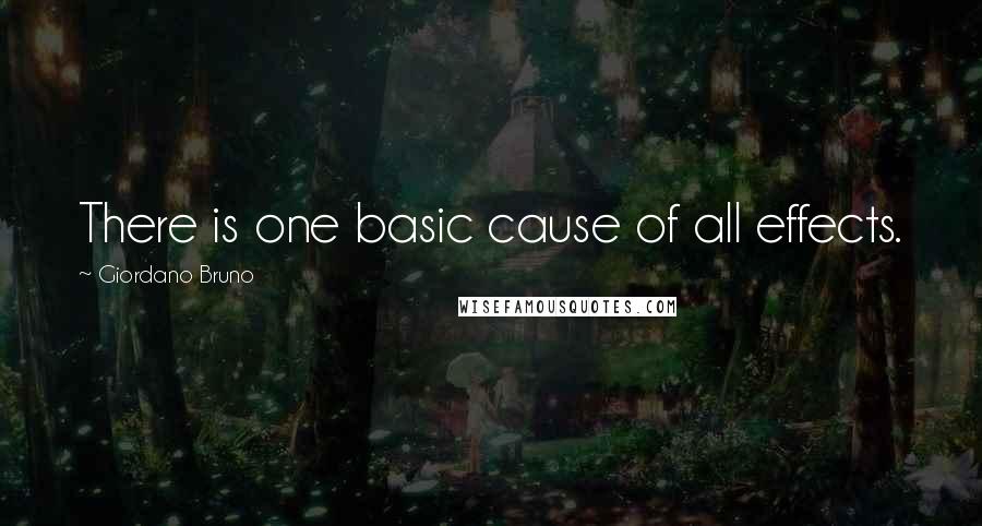 Giordano Bruno Quotes: There is one basic cause of all effects.