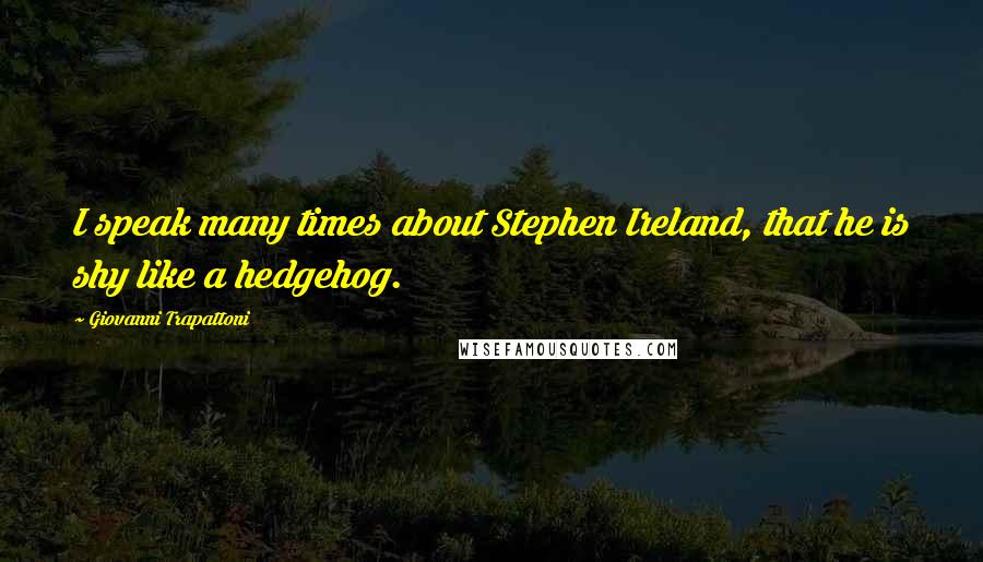 Giovanni Trapattoni Quotes: I speak many times about Stephen Ireland, that he is shy like a hedgehog.