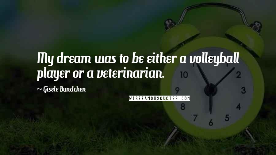 Gisele Bundchen Quotes: My dream was to be either a volleyball player or a veterinarian.