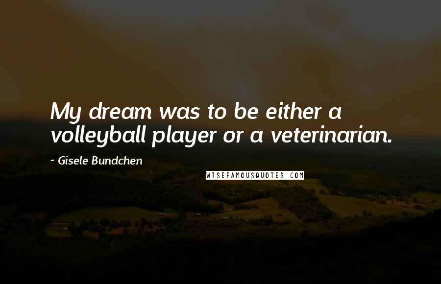 Gisele Bundchen Quotes: My dream was to be either a volleyball player or a veterinarian.