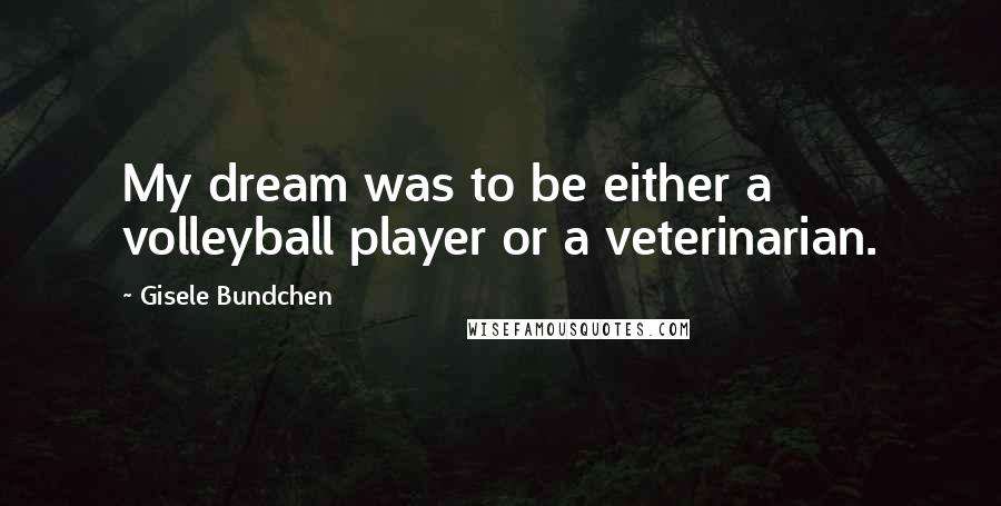 Gisele Bundchen Quotes: My dream was to be either a volleyball player or a veterinarian.