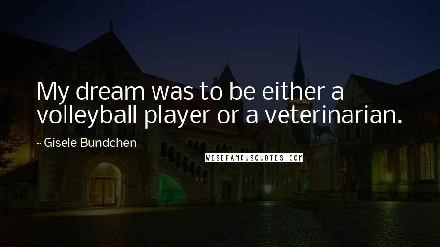 Gisele Bundchen Quotes: My dream was to be either a volleyball player or a veterinarian.