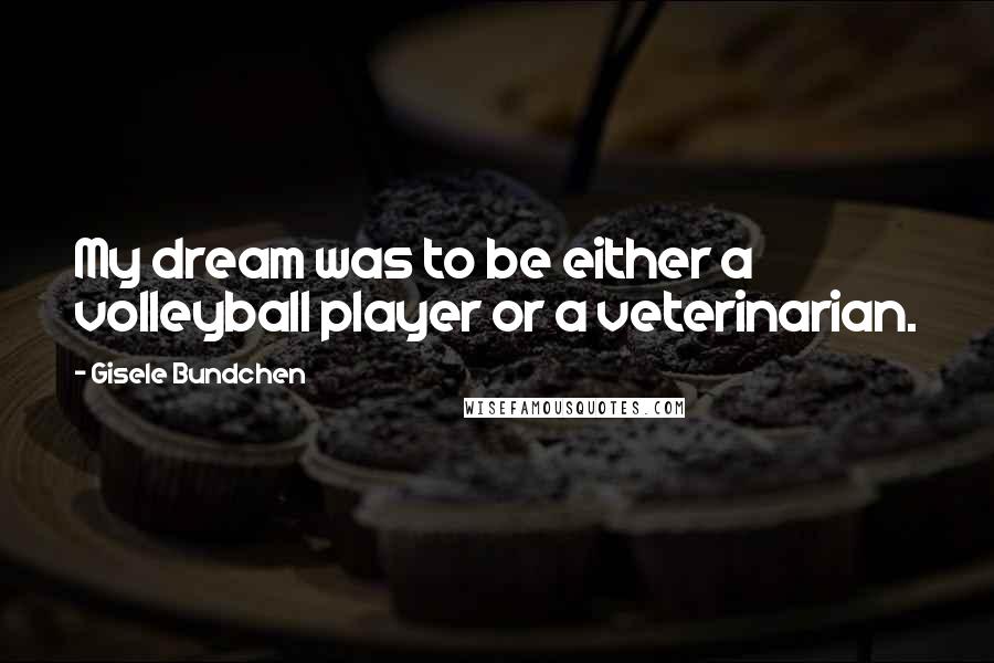 Gisele Bundchen Quotes: My dream was to be either a volleyball player or a veterinarian.