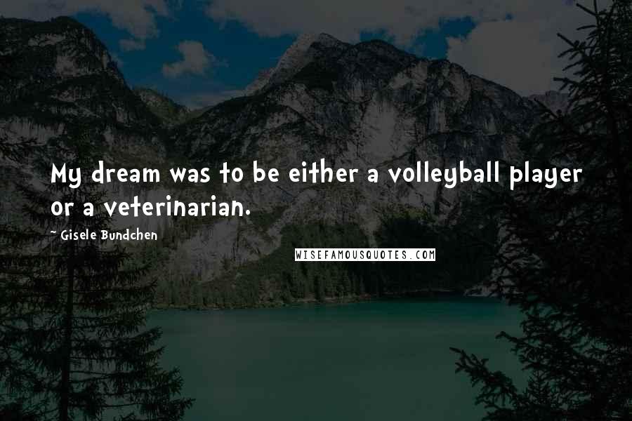 Gisele Bundchen Quotes: My dream was to be either a volleyball player or a veterinarian.