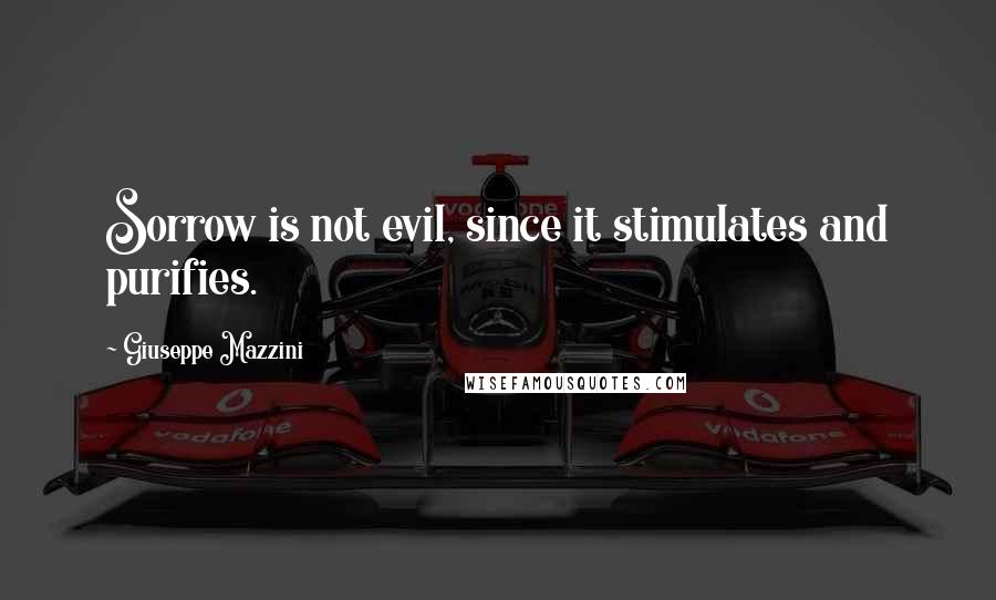 Giuseppe Mazzini Quotes: Sorrow is not evil, since it stimulates and purifies.