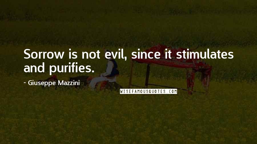 Giuseppe Mazzini Quotes: Sorrow is not evil, since it stimulates and purifies.