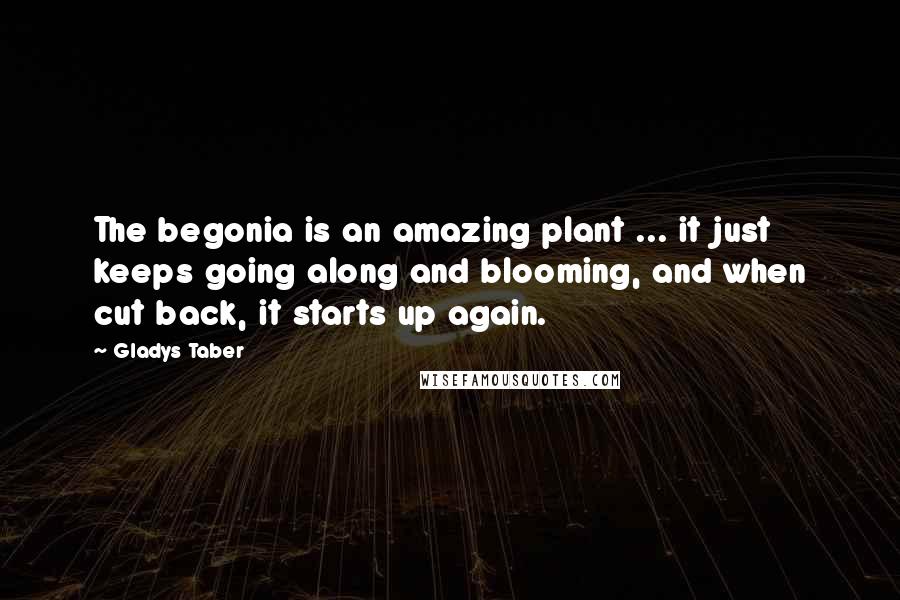 Gladys Taber Quotes: The begonia is an amazing plant ... it just keeps going along and blooming, and when cut back, it starts up again.