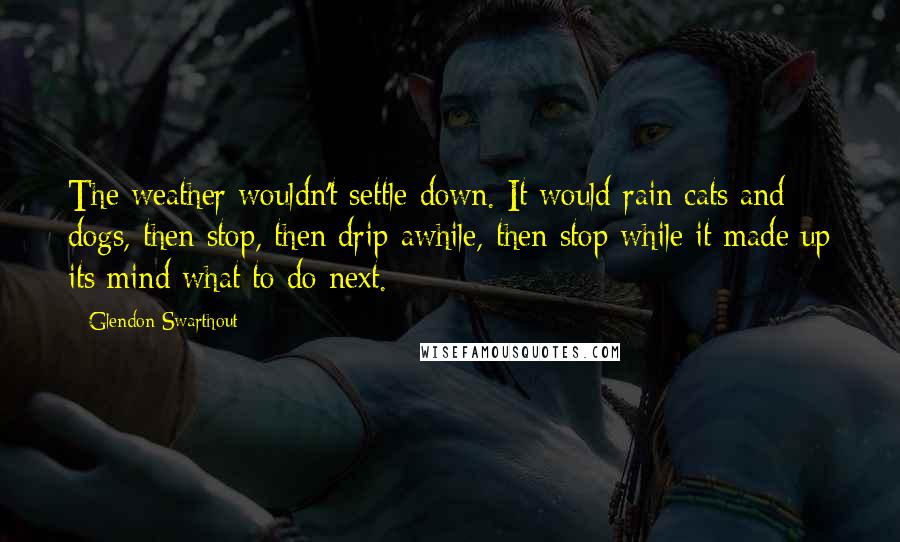 Glendon Swarthout Quotes: The weather wouldn't settle down. It would rain cats and dogs, then stop, then drip awhile, then stop while it made up its mind what to do next.