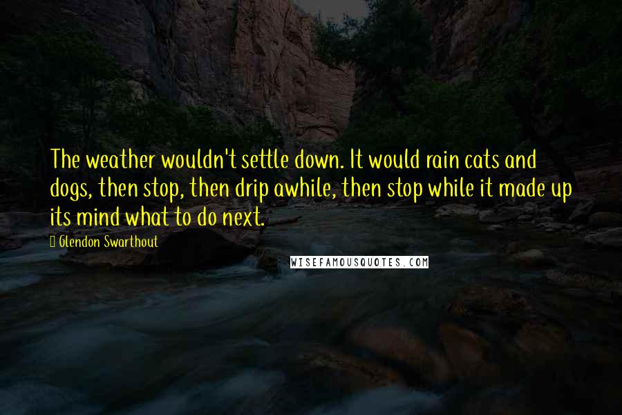 Glendon Swarthout Quotes: The weather wouldn't settle down. It would rain cats and dogs, then stop, then drip awhile, then stop while it made up its mind what to do next.