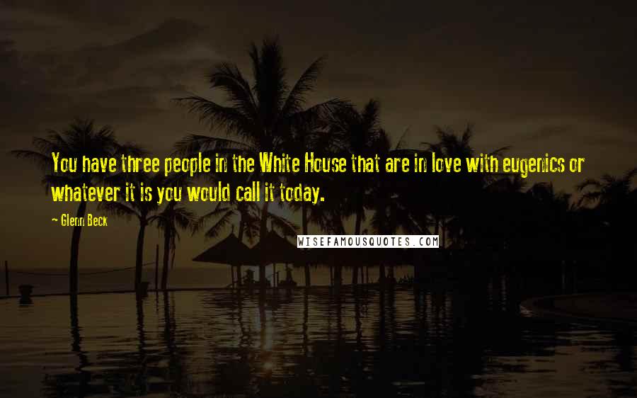Glenn Beck Quotes: You have three people in the White House that are in love with eugenics or whatever it is you would call it today.