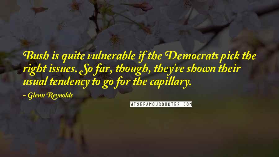 Glenn Reynolds Quotes: Bush is quite vulnerable if the Democrats pick the right issues. So far, though, they've shown their usual tendency to go for the capillary.