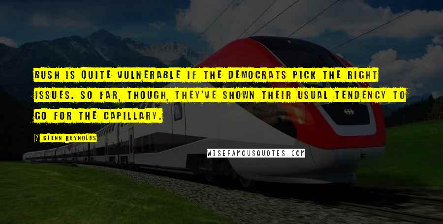 Glenn Reynolds Quotes: Bush is quite vulnerable if the Democrats pick the right issues. So far, though, they've shown their usual tendency to go for the capillary.