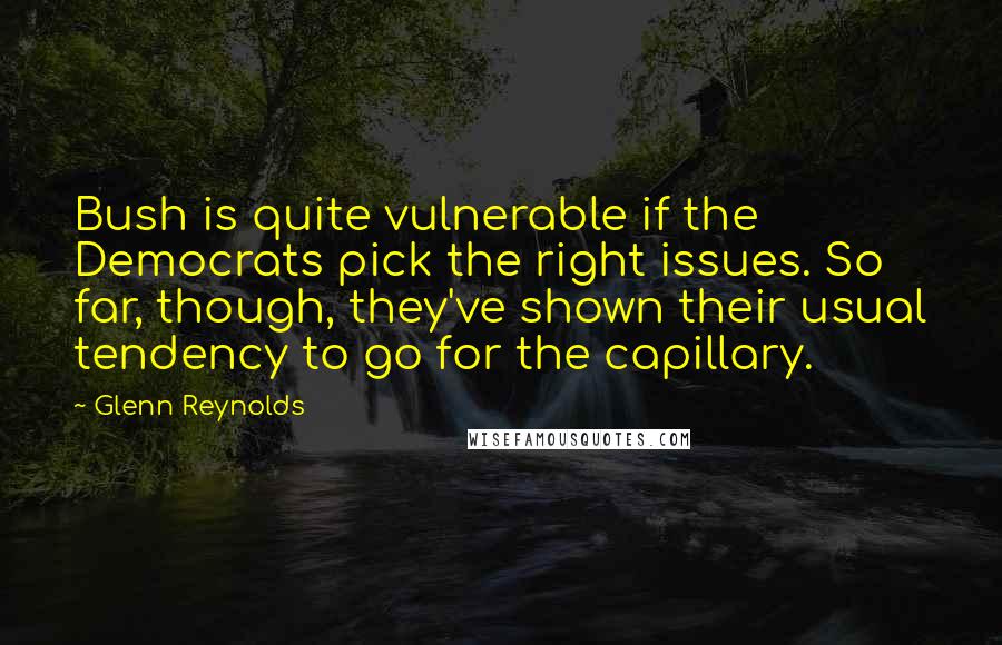 Glenn Reynolds Quotes: Bush is quite vulnerable if the Democrats pick the right issues. So far, though, they've shown their usual tendency to go for the capillary.