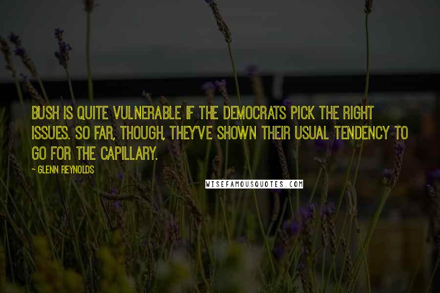 Glenn Reynolds Quotes: Bush is quite vulnerable if the Democrats pick the right issues. So far, though, they've shown their usual tendency to go for the capillary.