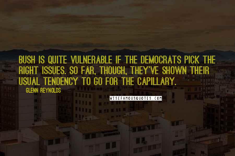 Glenn Reynolds Quotes: Bush is quite vulnerable if the Democrats pick the right issues. So far, though, they've shown their usual tendency to go for the capillary.