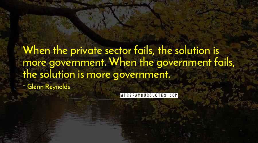 Glenn Reynolds Quotes: When the private sector fails, the solution is more government. When the government fails, the solution is more government.