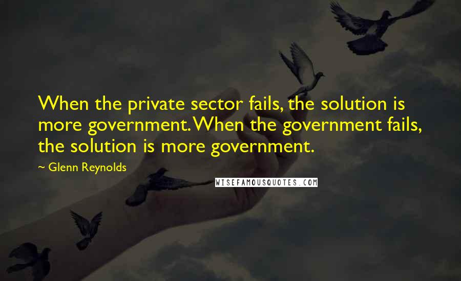 Glenn Reynolds Quotes: When the private sector fails, the solution is more government. When the government fails, the solution is more government.