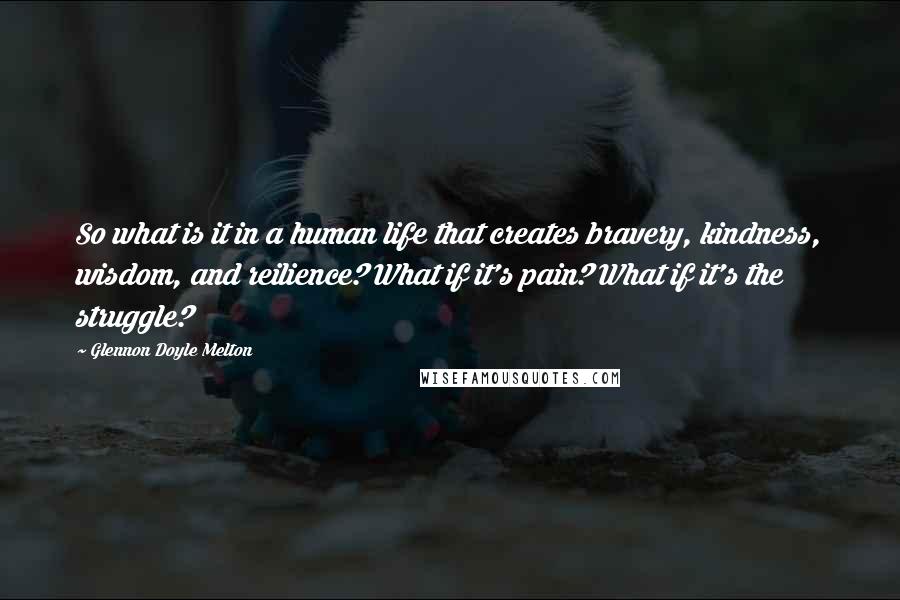 Glennon Doyle Melton Quotes: So what is it in a human life that creates bravery, kindness, wisdom, and reilience? What if it's pain? What if it's the struggle?