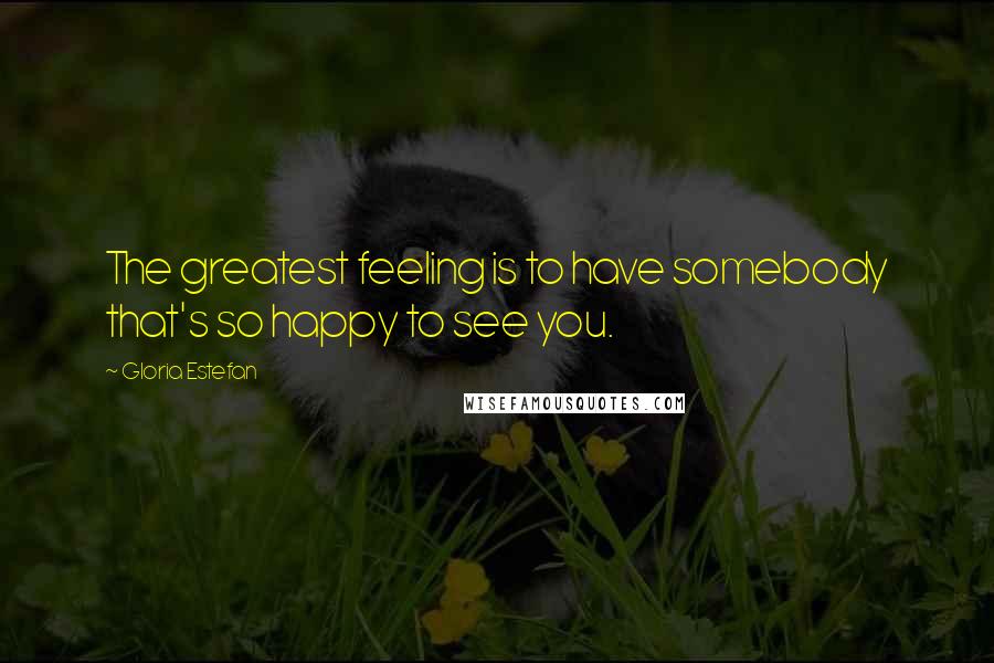 Gloria Estefan Quotes: The greatest feeling is to have somebody that's so happy to see you.